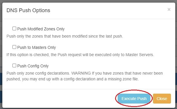 ProVision Documentation > .Working with DNS Groups vHG-8.3.0 > 8.3.0 DNS Configurable Push.jpg